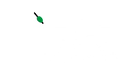 FE-Cocktails